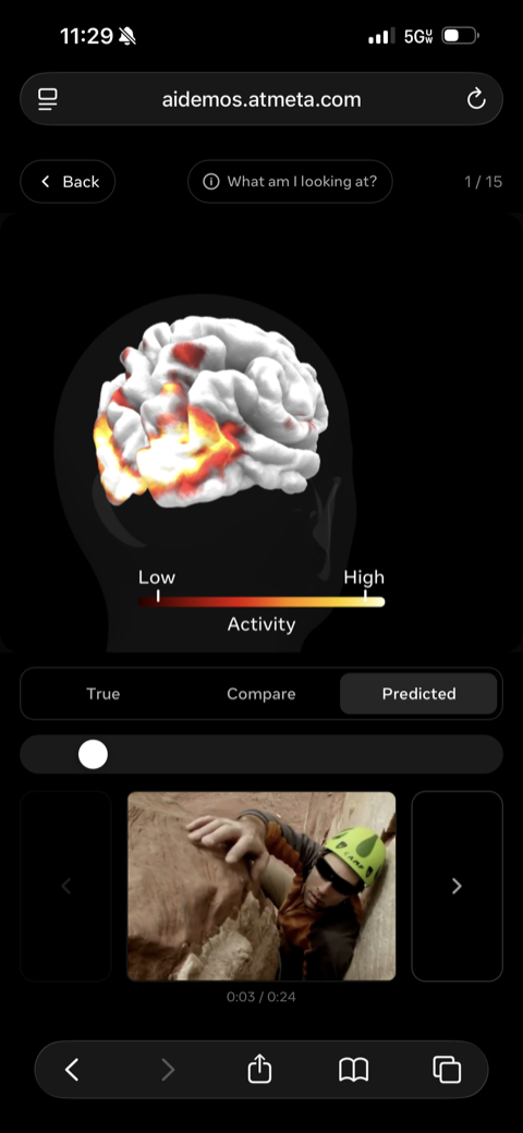 Meta Tribe v2 demo screen — a 3D brain rendering with heat-mapped activity from low (red) to high (yellow), tabs for True / Compare / Predicted, and a video stimulus of a person rock climbing being shown to the model